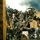 photo du film Transformers 2 : la revanche