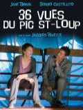 voir la fiche complète du film : 36 vues du Pic Saint-Loup