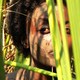 photo du film Le jour où Dieu est parti en voyage