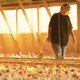 photo du film Food, Inc.
