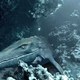 photo du film Océanosaures 3D : voyage au temps des dinosaures