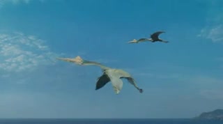 Extrait vidéo du film  Océanosaures 3D : voyage au temps des dinosaures