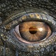 photo du film Océanosaures 3D : voyage au temps des dinosaures