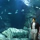 photo du film Océanosaures 3D : voyage au temps des dinosaures