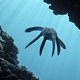 photo du film Océanosaures 3D : voyage au temps des dinosaures