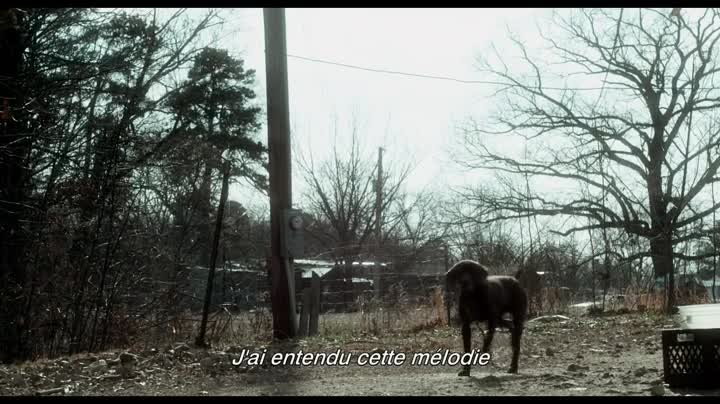 Extrait vidéo du film  Winter s Bone