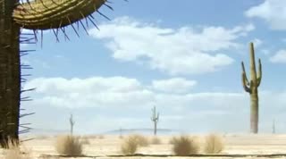 Extrait vidéo du film  Rango