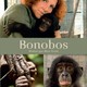 photo du film Bonobos