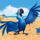 photo du film Rio