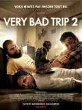 voir la fiche complète du film : Very Bad Trip 2