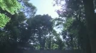 Extrait vidéo du film  Genpin, la maternité dans les bois