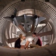 photo du film X-Men : Le commencement