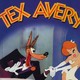 photo du film Tex Avery Cartoons 2