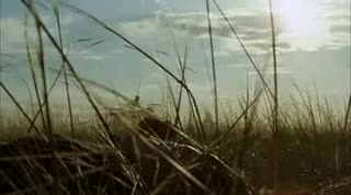 Extrait vidéo du film  Les deux chevaux de Gengis Khan