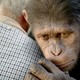 photo du film La Planète des singes : les origines