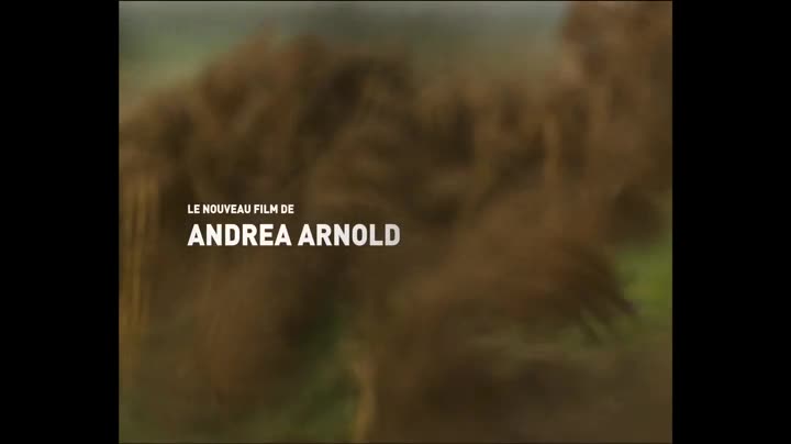 Extrait vidéo du film  Les Hauts de Hurlevent