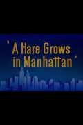 A Hare Grows in Manhattan