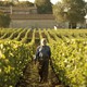 photo du film Tu seras mon fils