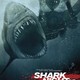 photo du film Shark 3D