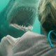 photo du film Shark 3D