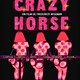 photo du film Crazy Horse