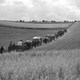 photo du film Heimat - Chronique d'un rêve / L'Exode