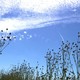 photo du film La pluie et le beau temps