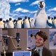 photo du film Happy Feet 2