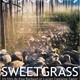 photo du film Sweetgrass