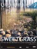 voir la fiche complète du film : Sweetgrass