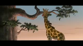 Un extrait du film  Zarafa