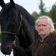 photo du film Cheval de guerre