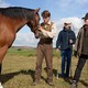 photo du film Cheval de guerre