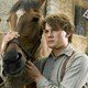 photo du film Cheval de guerre