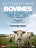 voir la fiche complète du film : Bovines ou la vraie vie des vaches