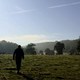 photo du film Bovines ou la vraie vie des vaches