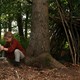 photo du film A pas de loup