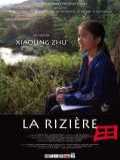voir la fiche complète du film : La rizière