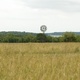 photo du film Moonrise Kingdom