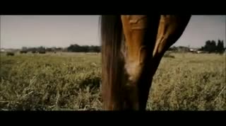 Un extrait du film  La femme qui aimait les hommes