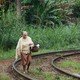 photo du film Historias