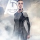 photo du film Hunger Games - L'embrasement