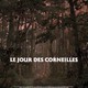 photo du film Le jour des corneilles