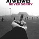 photo du film Ai Weiwei : Never sorry