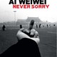 photo du film Ai Weiwei : Never sorry