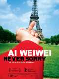 voir la fiche complète du film : Ai Weiwei : Never sorry
