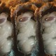 photo du film Des abeilles et des hommes