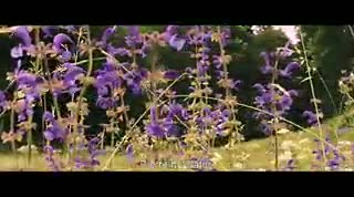 Un extrait du film  Des abeilles et des hommes