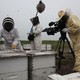 photo du film Des abeilles et des hommes