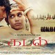 photo du film Kadal